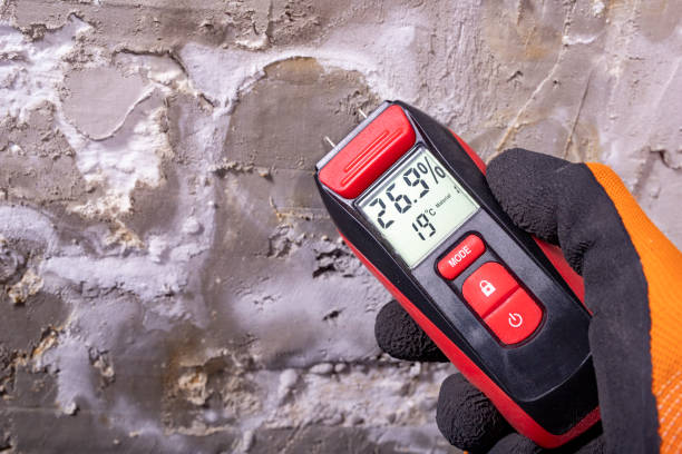 Best Office Mold Removal Services  in Haw River, NC