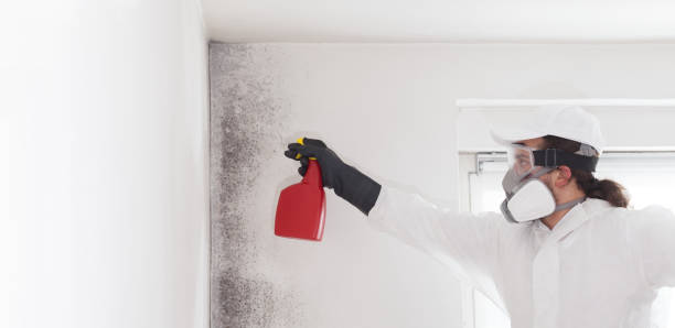 Best Home Mold Removal  in Haw River, NC