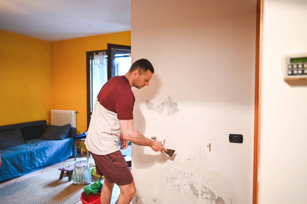 Best Black Mold Removal  in Haw River, NC