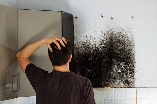 Best Fast Mold Removal  in Haw River, NC